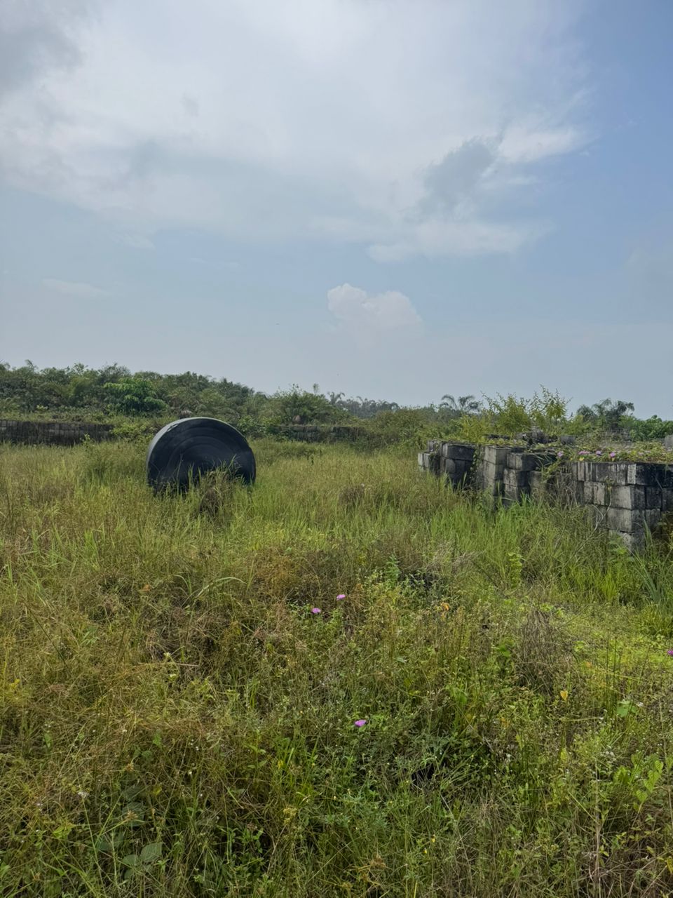 WhatsApp Image 2025-12-12 at 00.20.02 (1)