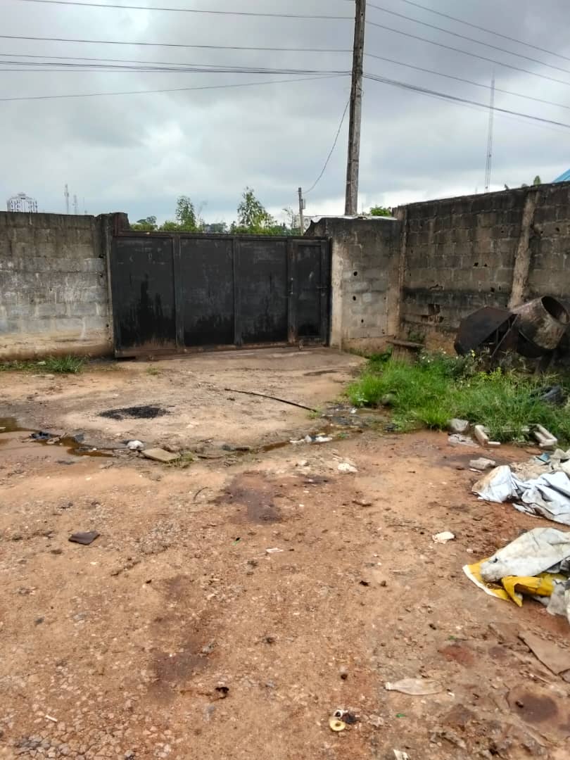 WhatsApp Image 2025-12-12 at 00.55.21 (2)